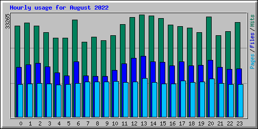 Hourly usage for August 2022